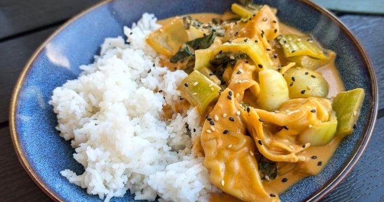 Currygryta med dumplings – krämig asiatisk comfort food